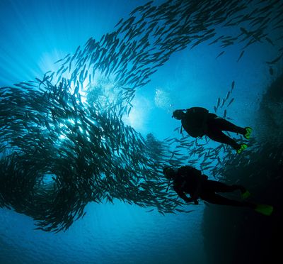 Diving