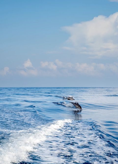 Dhigali Maldives