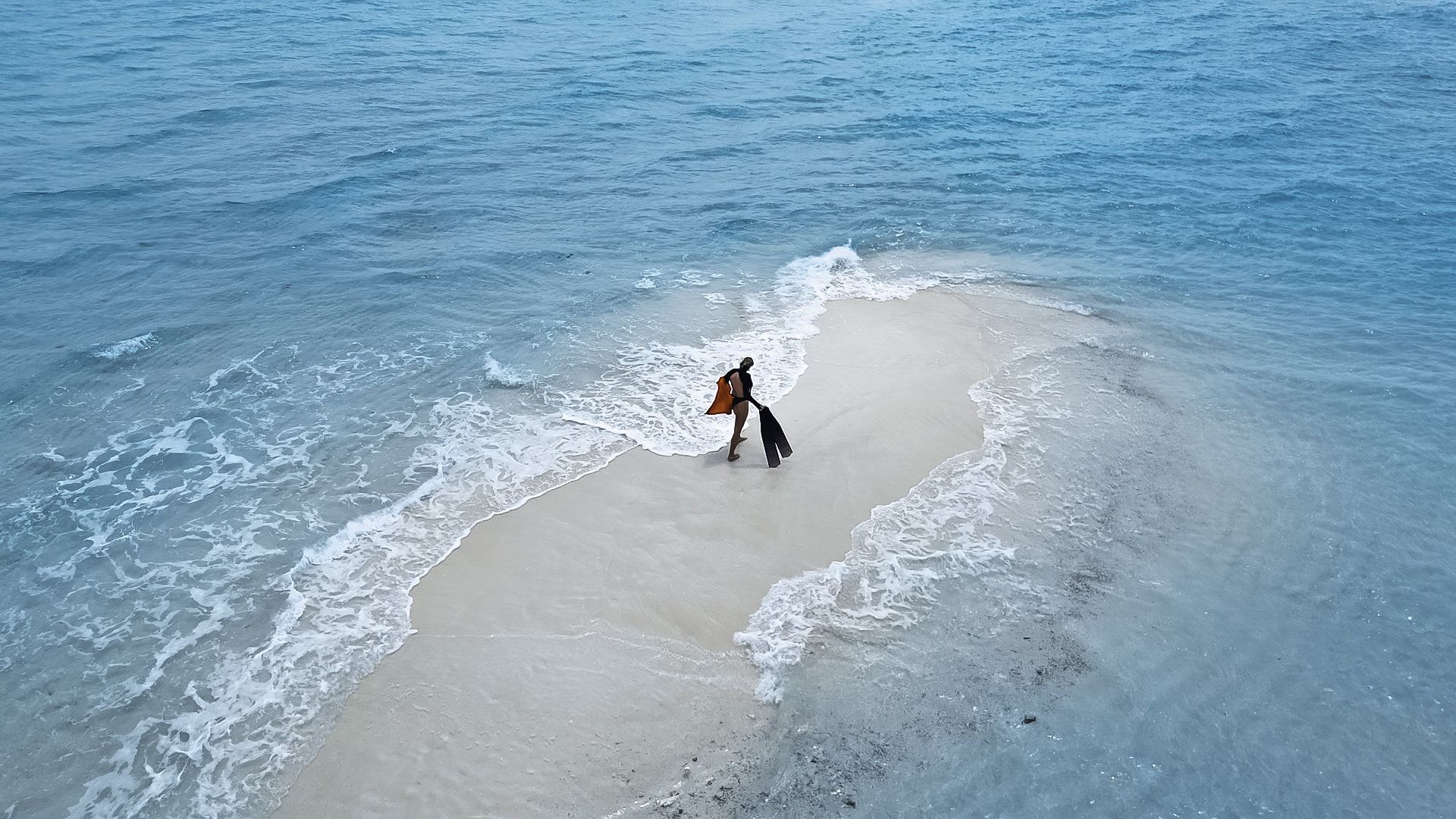 Sandbank Excursion