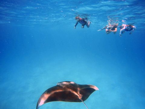 Vilamendhoo Island Resort and Spa
