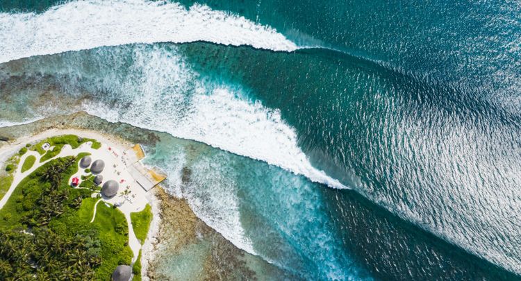 Niyama Private Islands Maldives