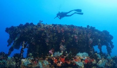 Diving