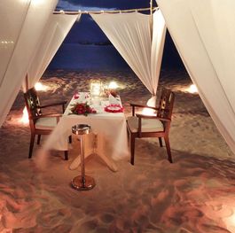 Dining under the Stars