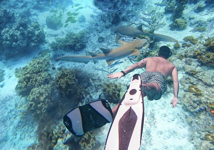 Under the Water