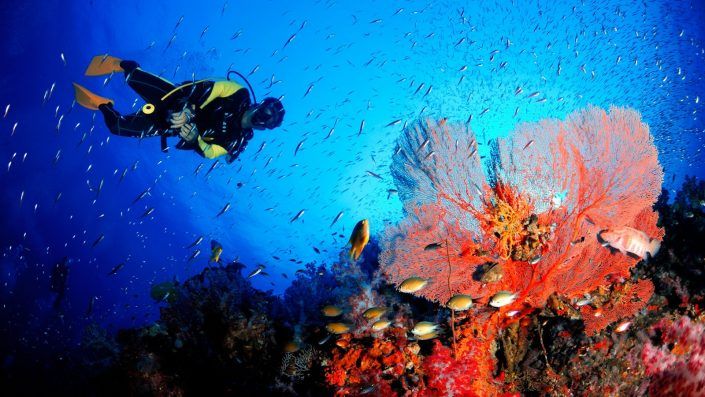 Scuba Diving