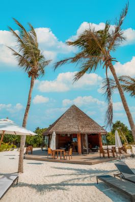 Beach Bar