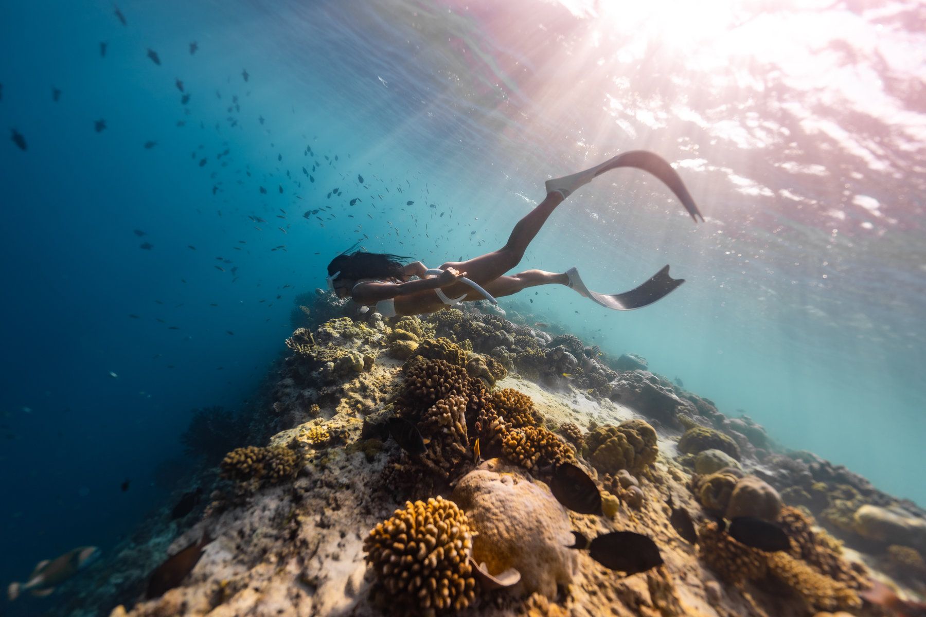 Diving