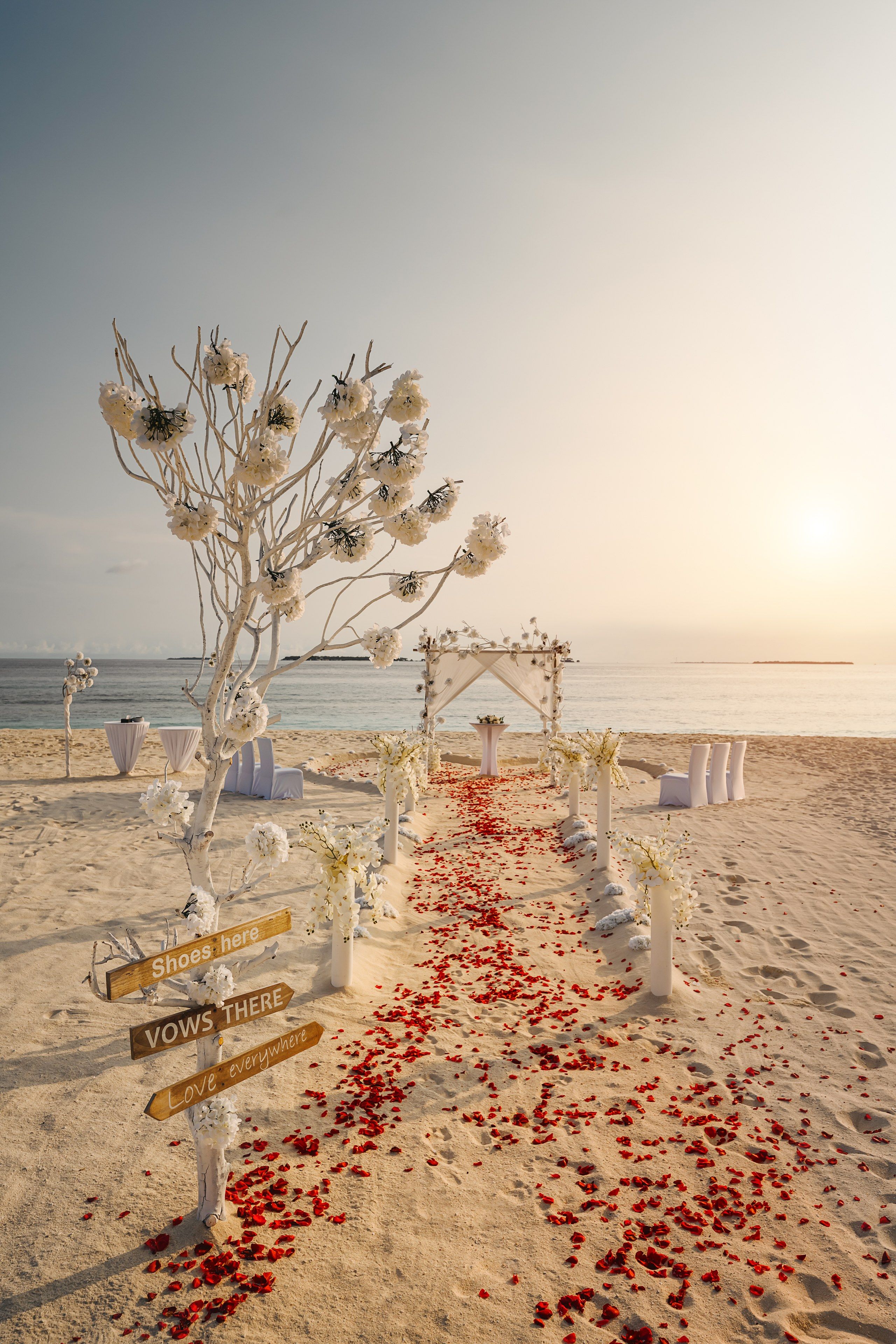 Wedding Celebrations