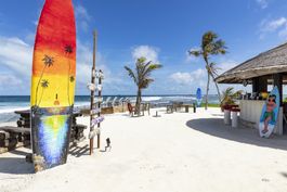 THE SURF SHACK