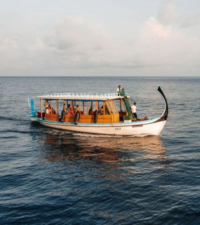 Dhoni Ride