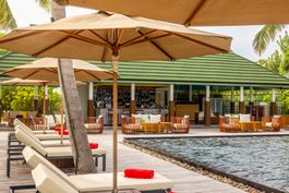 Mint ADULT-ONLY POOL BAR