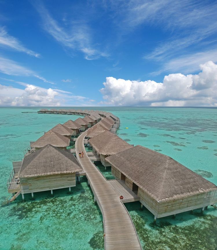 Cocoon Maldives