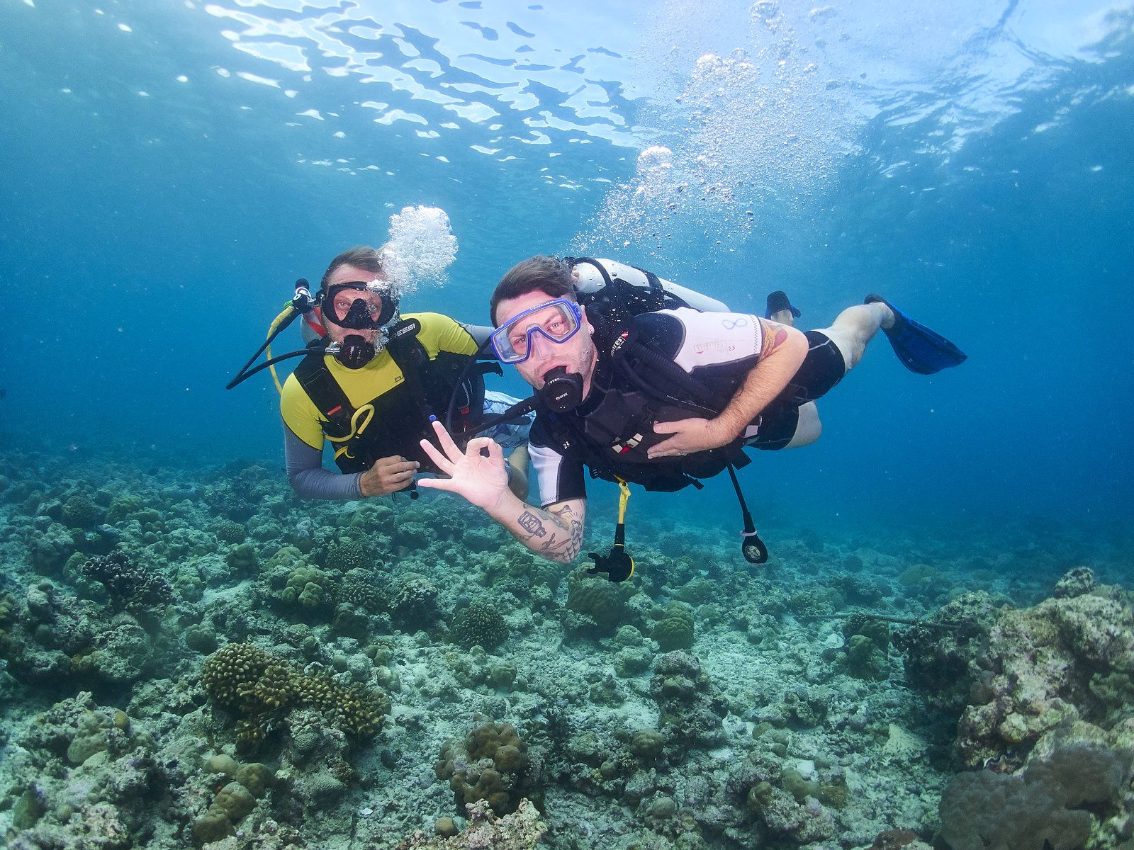 Diving