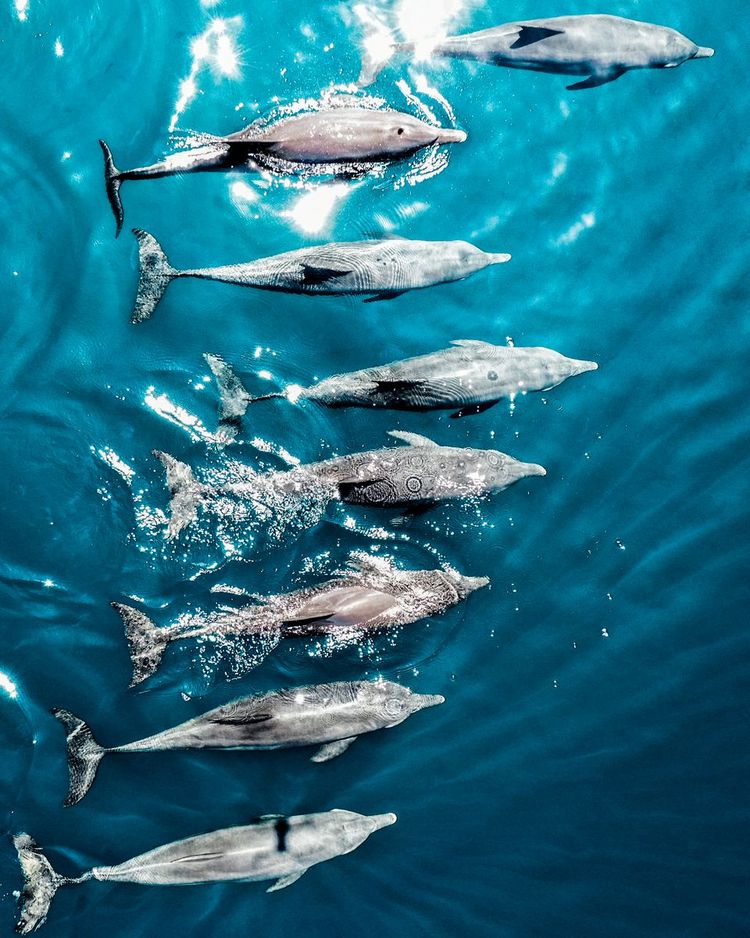 Kudafushi Maldives