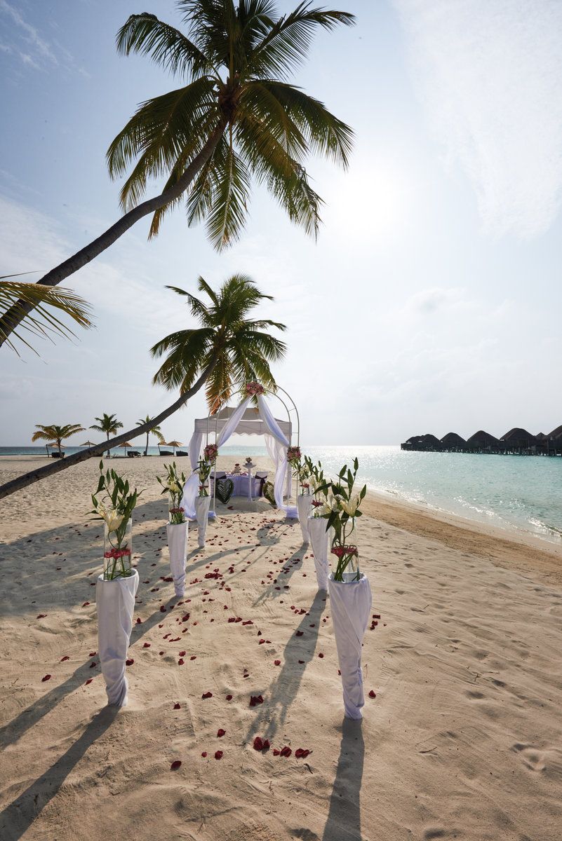 Wedding by the ocean