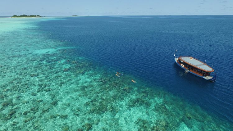 Cocoon Maldives