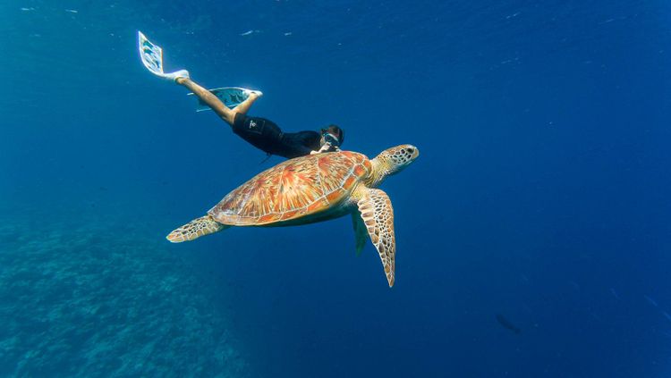 Veligandu Island Resort & Spa