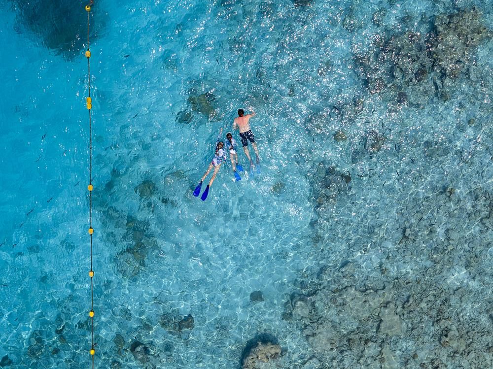 Snorkelling
