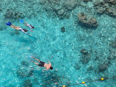Snorkelling