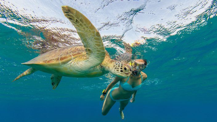 Snorkelling