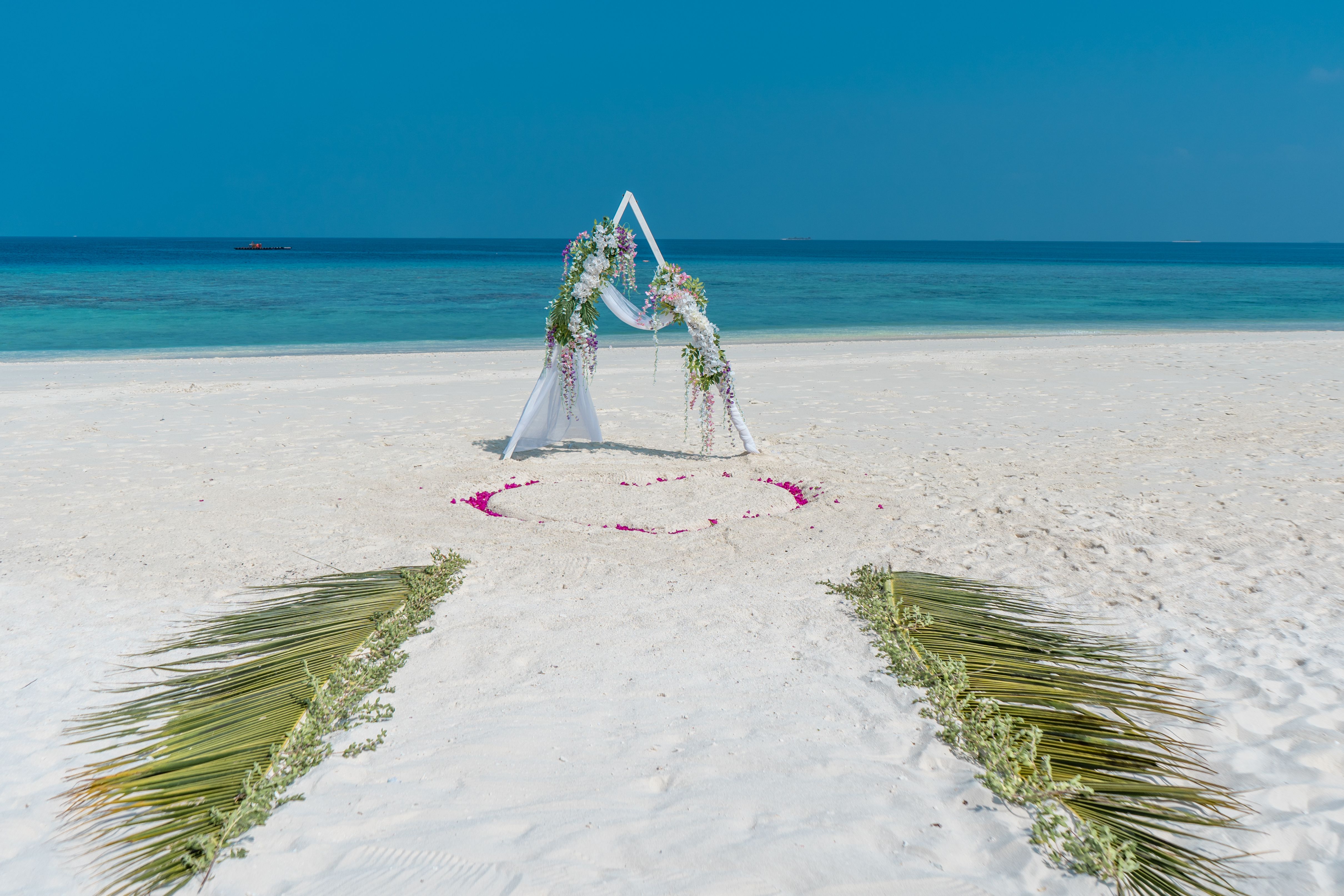 Weddings & Romance