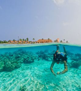 Snorkeling