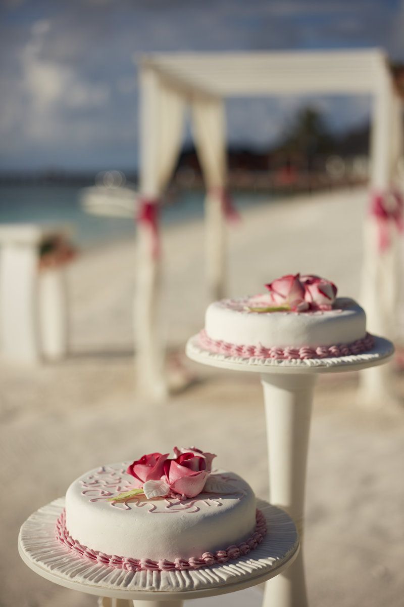 Weddings & Celebrations