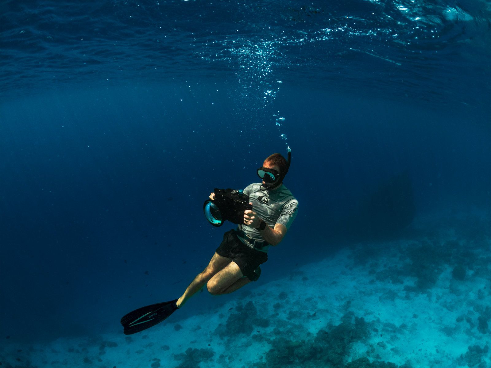 Snorkel