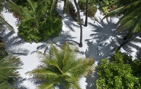 Velassaru Maldives