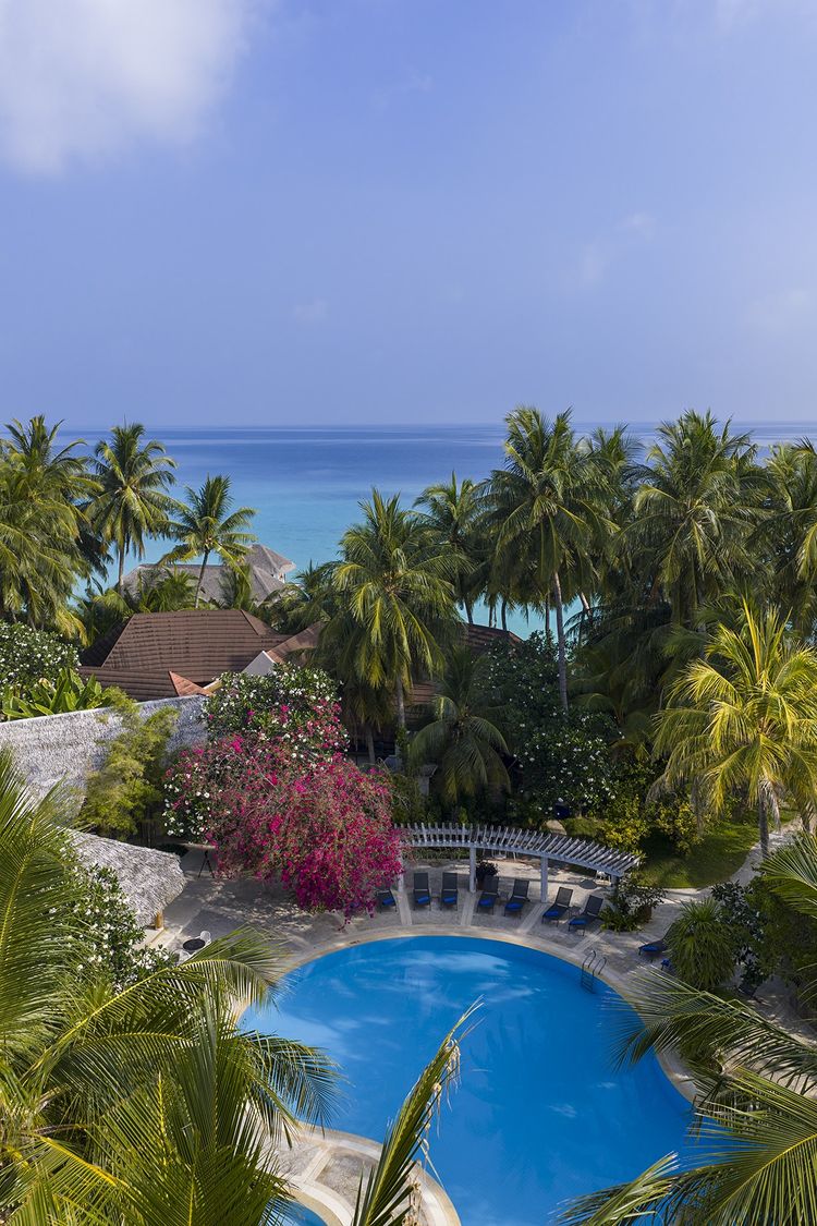 Niva Kuramathi Maldives
