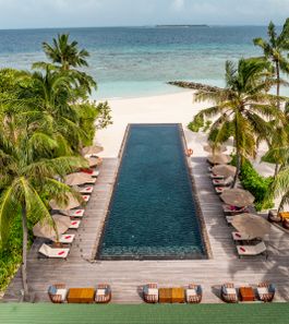 Mint ADULT-ONLY POOL BAR