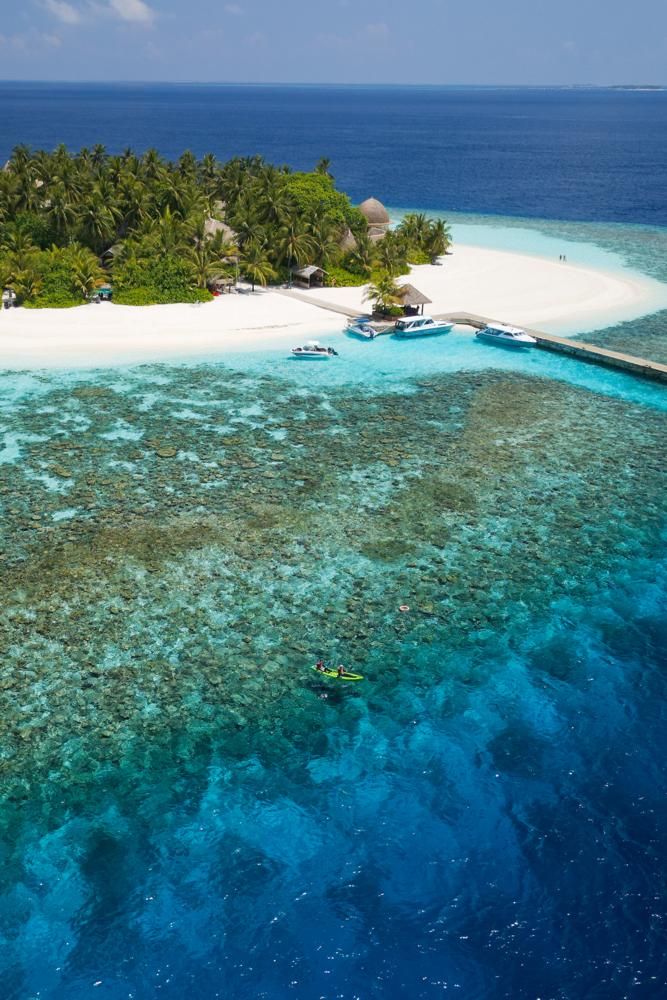 Snorkelling