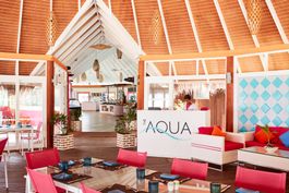 The Aqua