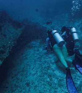 Diving