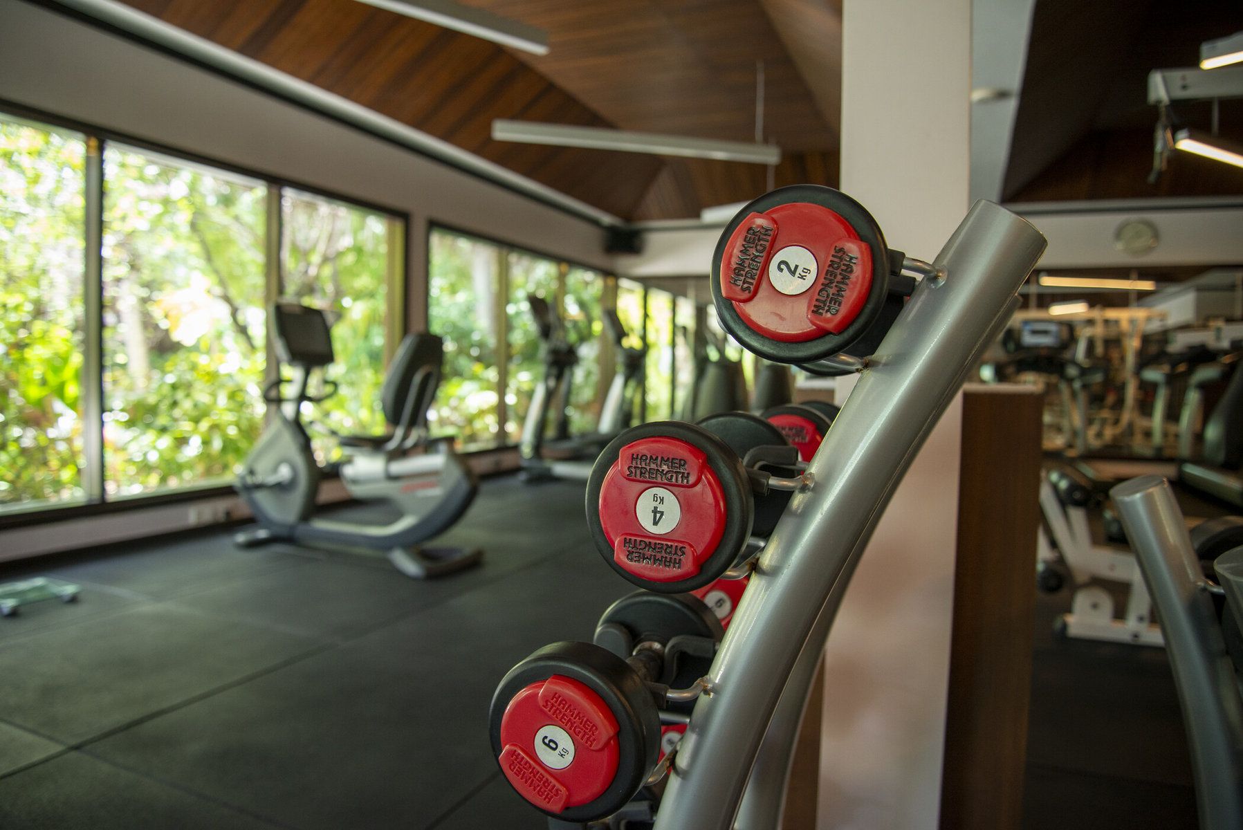 Recreation and Fitness