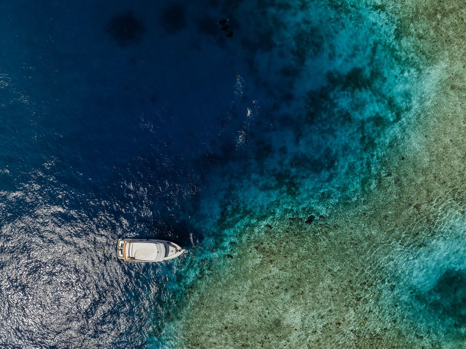 Snorkeling excursion