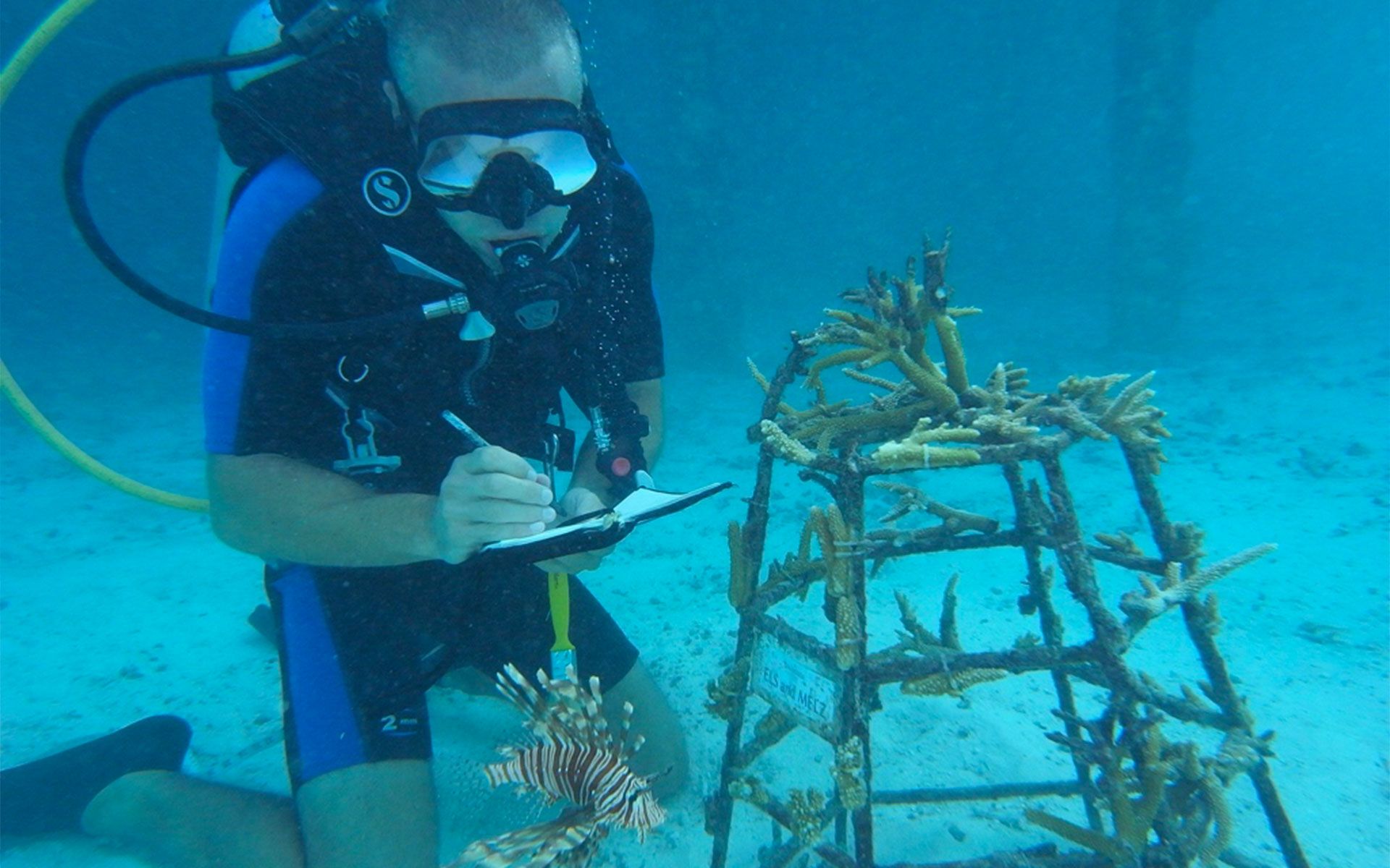 Marine Biologist