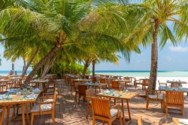 Bonthi Bar