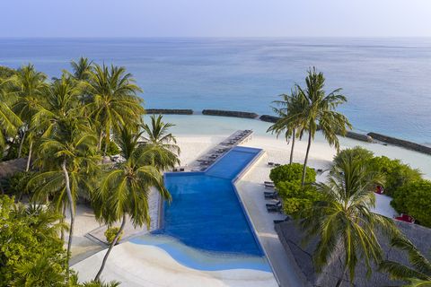 Niva Kuramathi Maldives