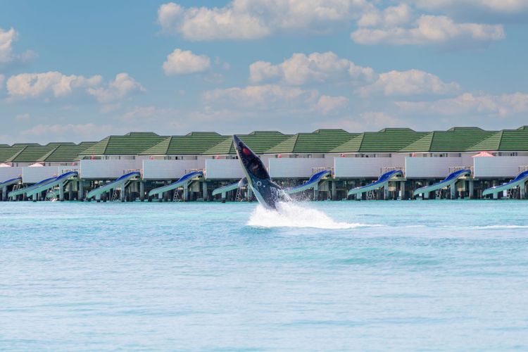 Siyam World Maldives