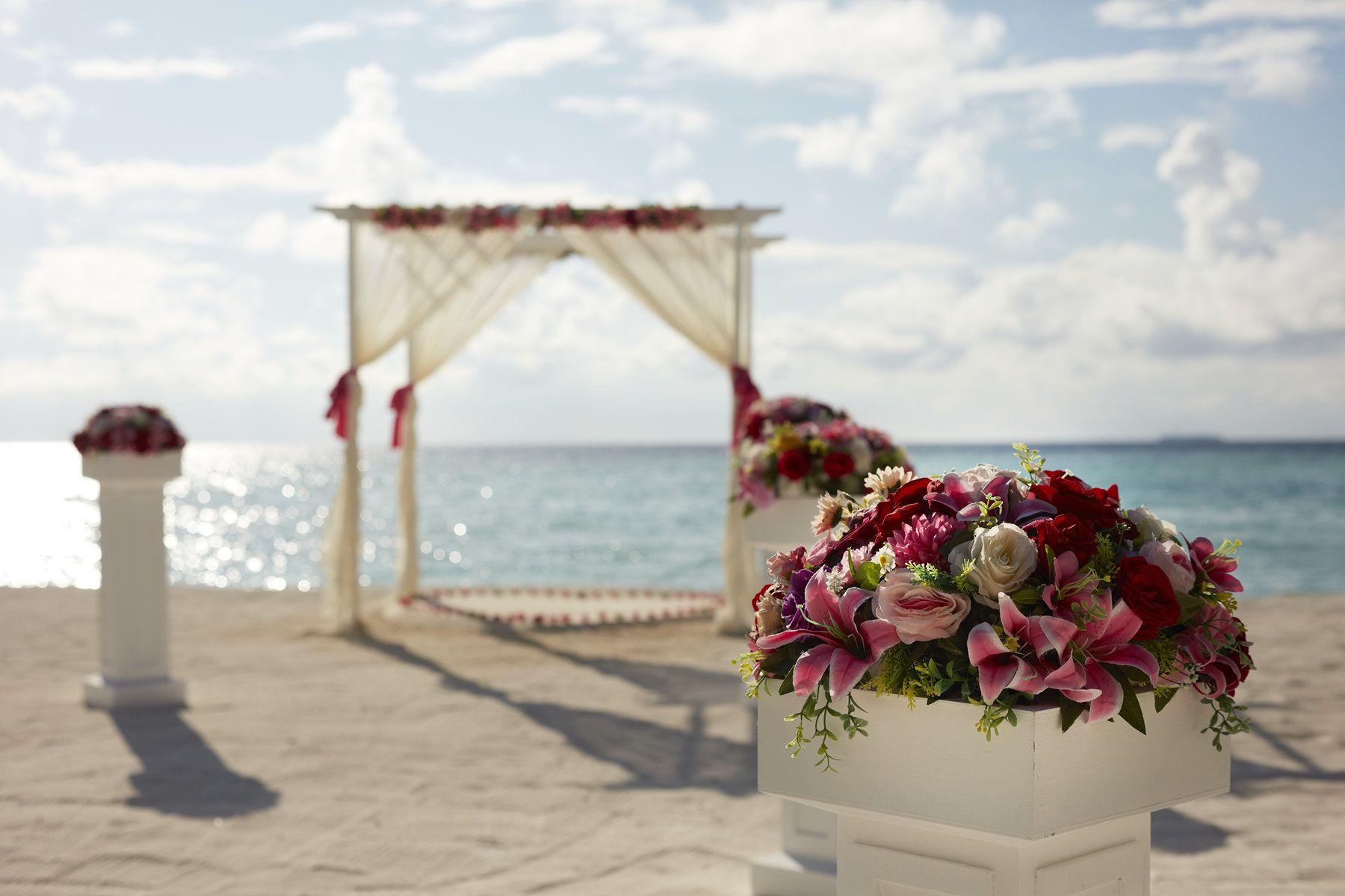 Weddings & Celebrations