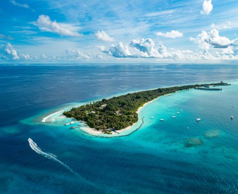 Niva Kuramathi Maldives
