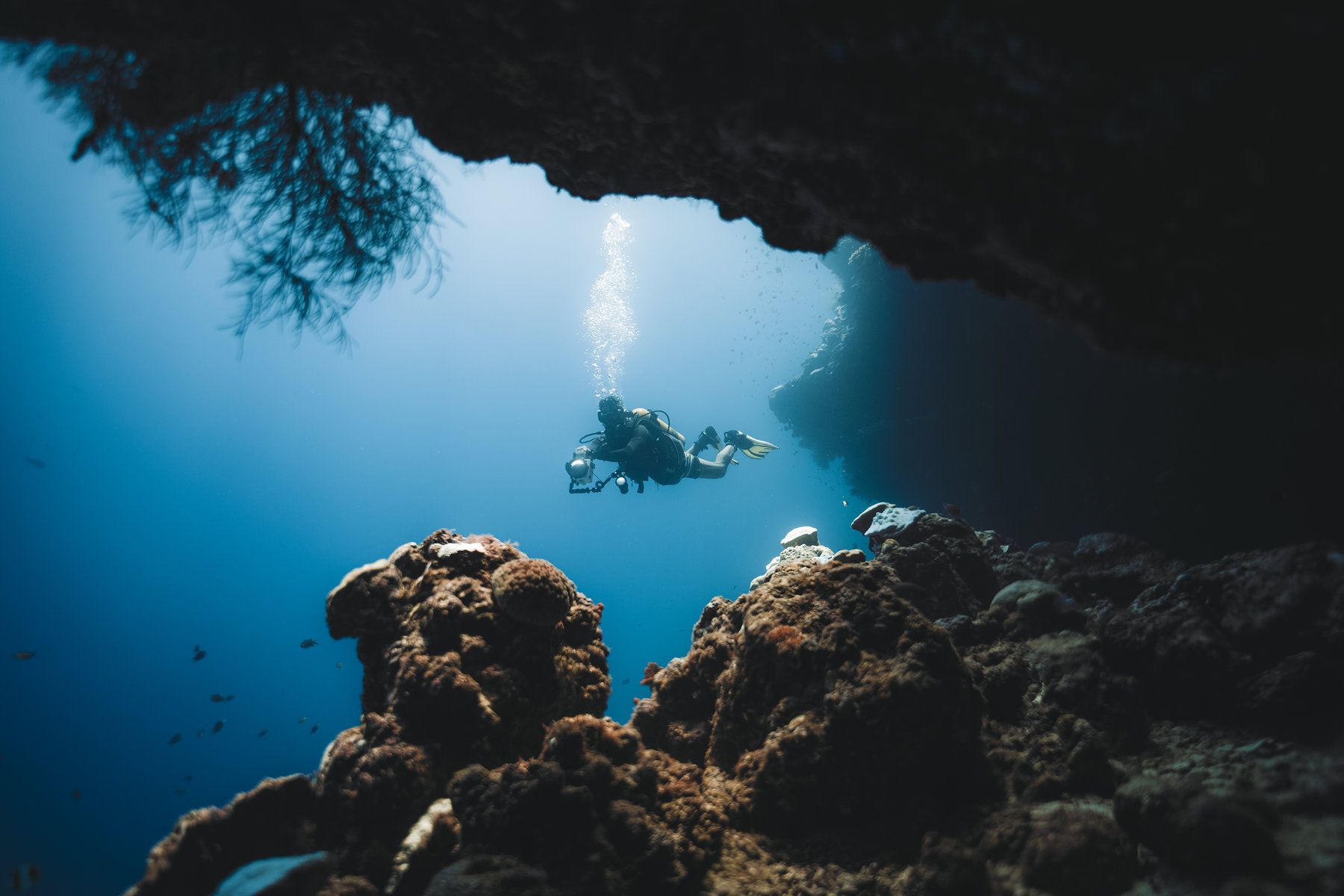 Scuba Diving
