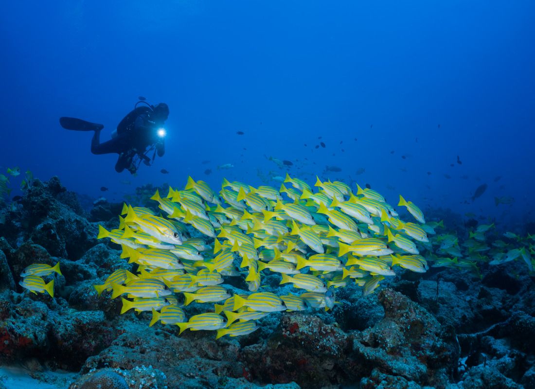 Diving