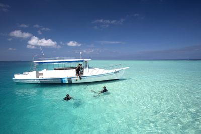 Dive & Discover