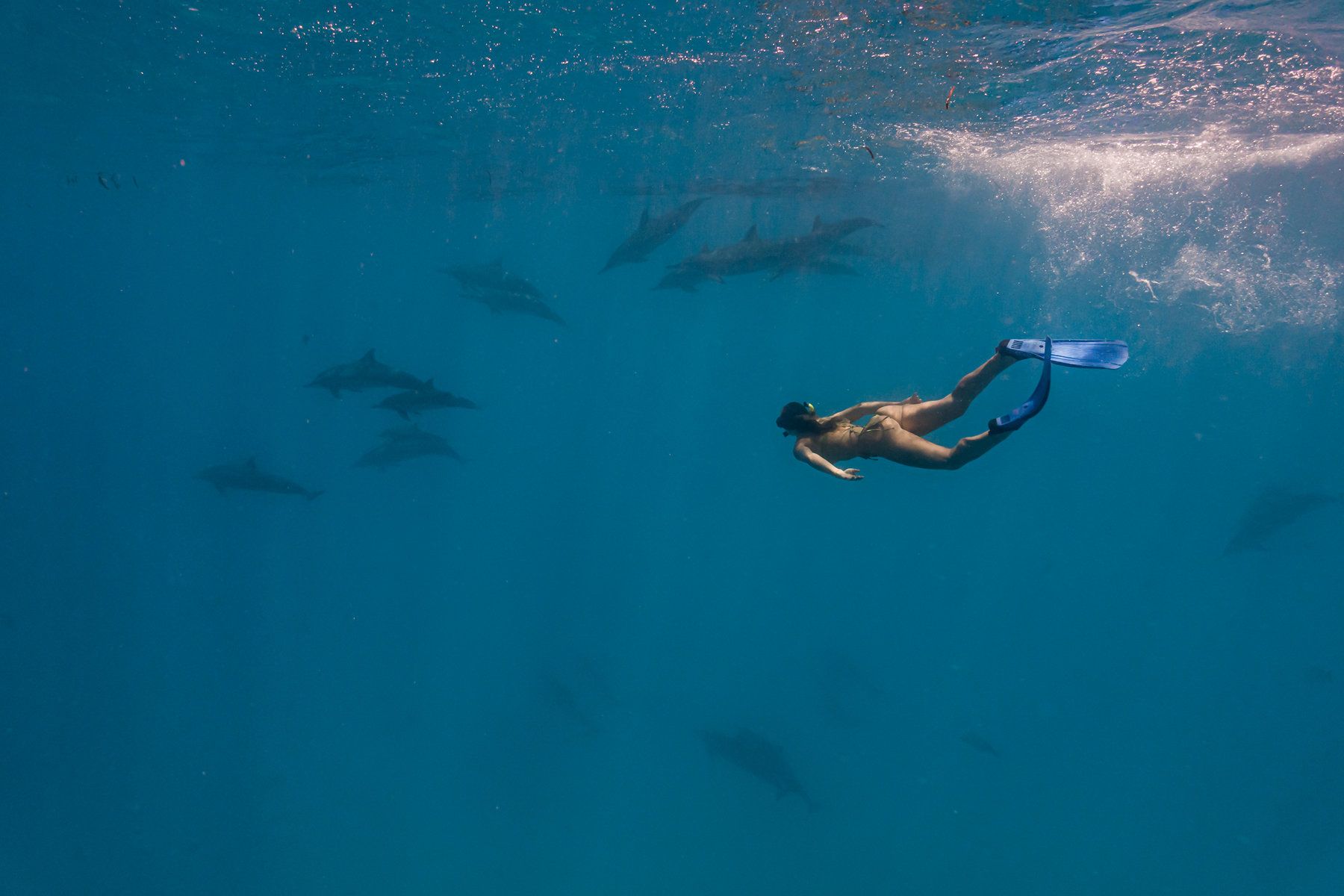 Diving
