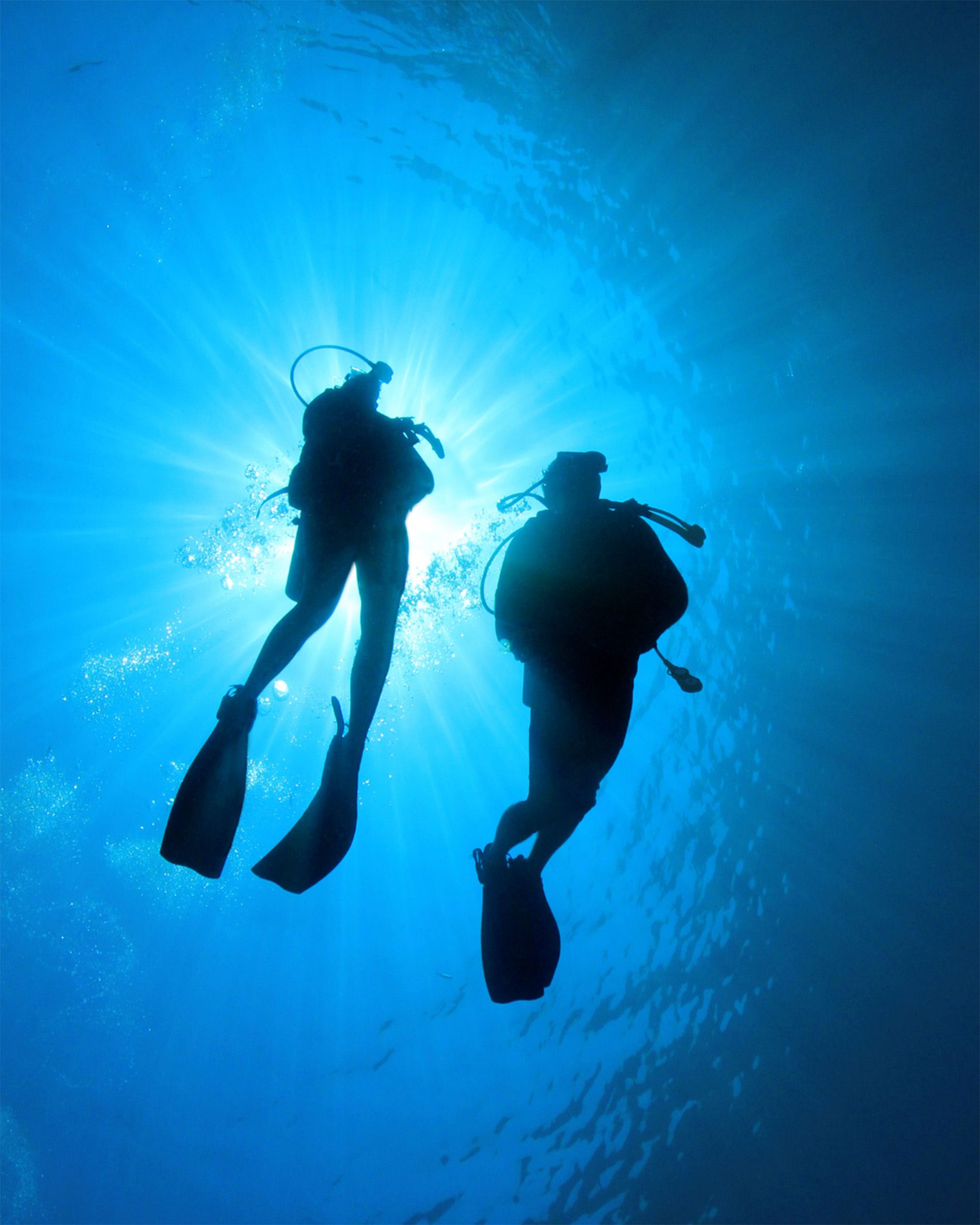 Diving 