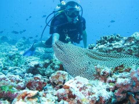 Kurumba Maldives