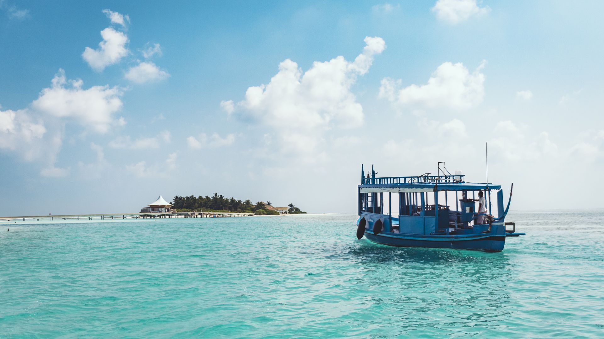 Dolphin Safari