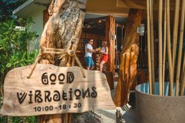 Good Vibrations 